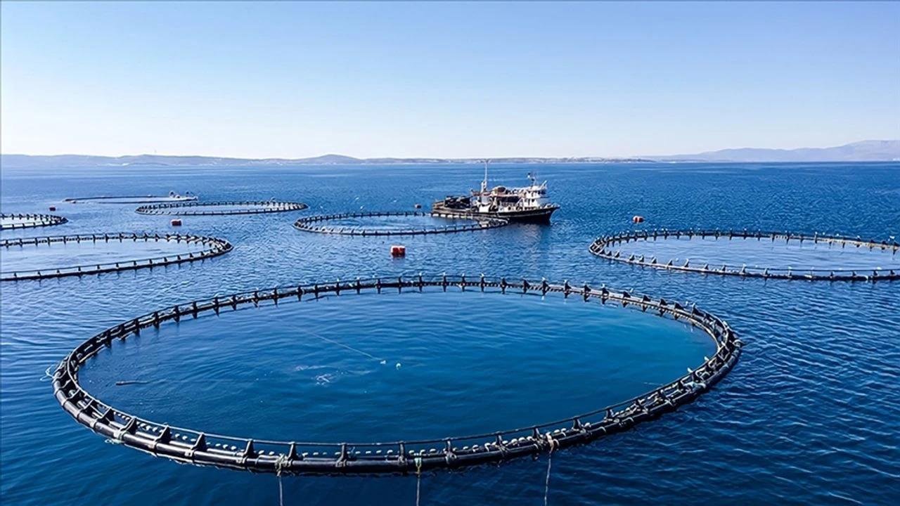 Karadeniz'den 19 Milyon Dolarlık Su Ürünleri İhracatı